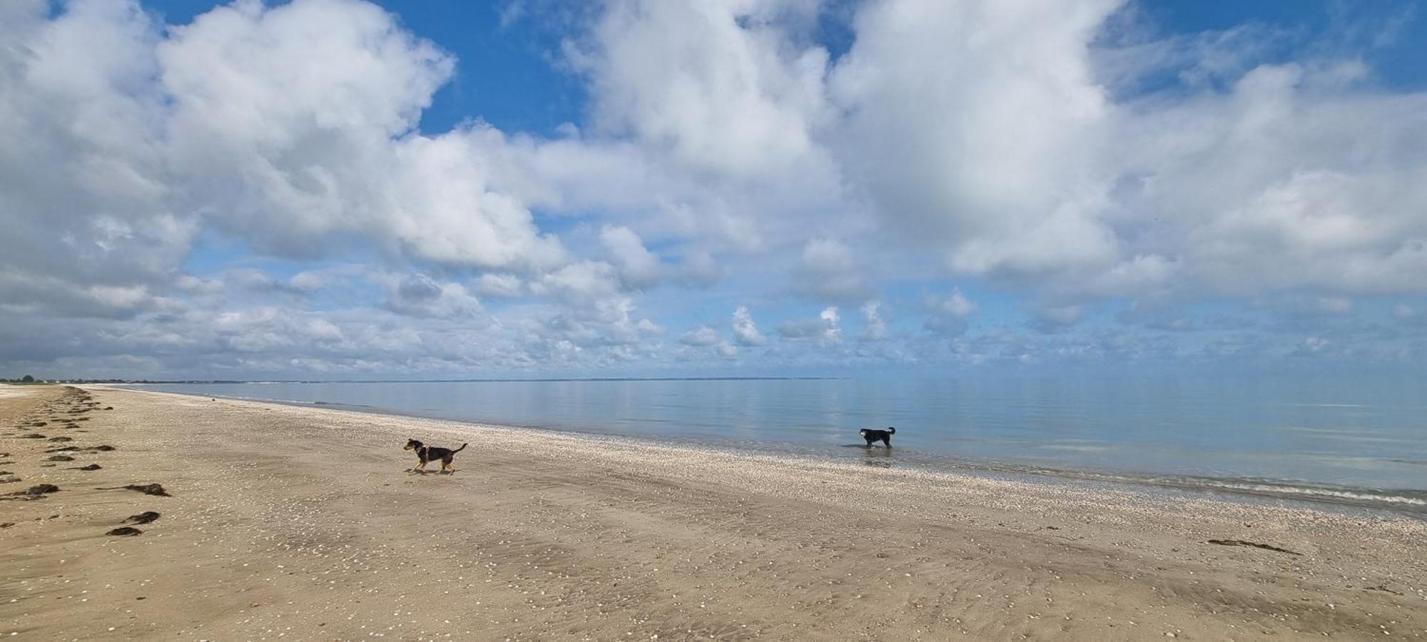 Chambres D'Hotes Ferme De La Baie โรส-โซร์-คูเอสน็อง ภายนอก รูปภาพ
